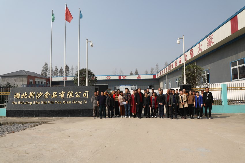 公司团队.JPg